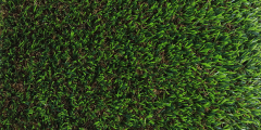 image-slider-with-thumbnail2.jpeg